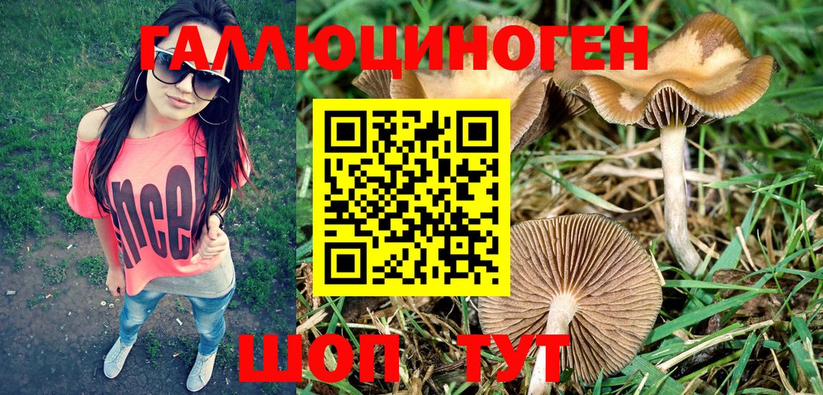 Уфа  Псилоцибиновые грибы MAGIC MUSHROOMS  Галлюциногенные грибы ЛСД  Вход с VPN 